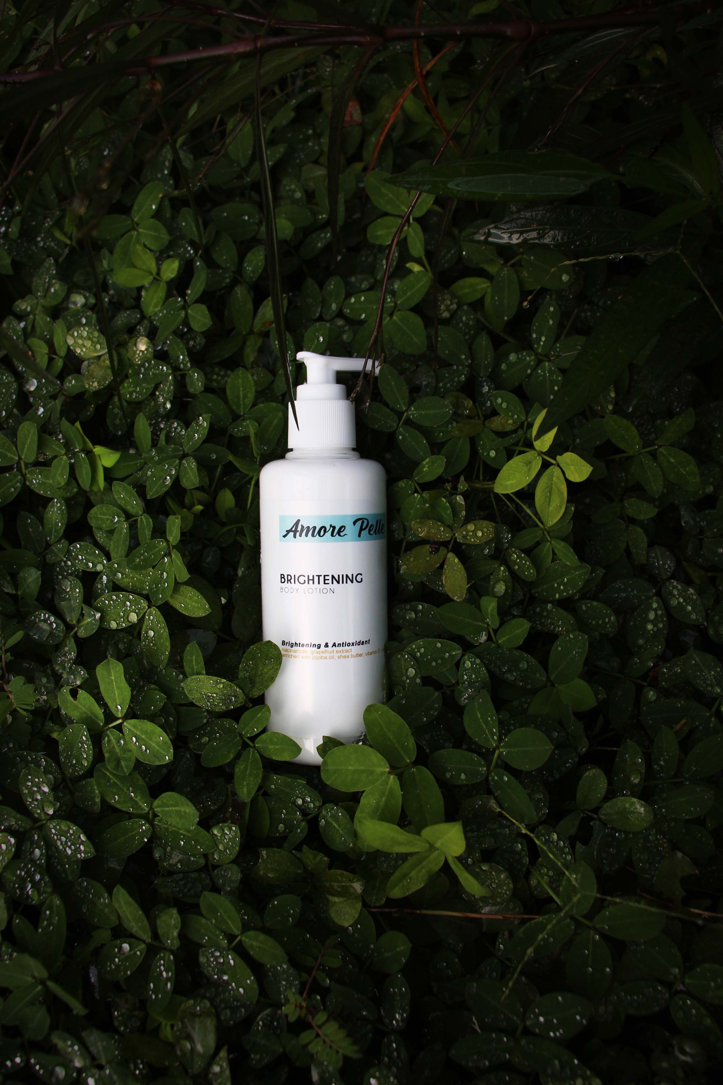 Amore Pelle Product