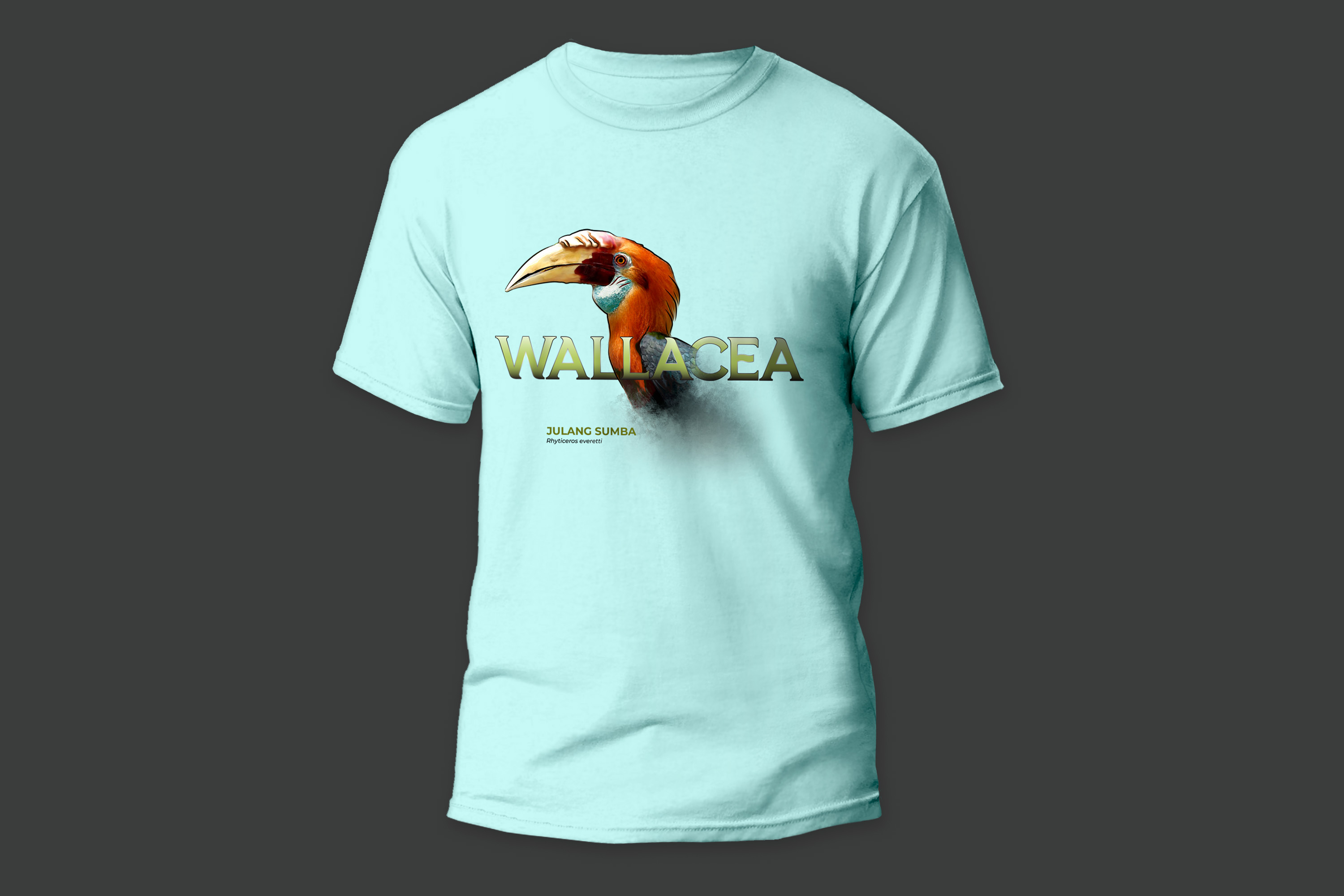 Merchandise Design