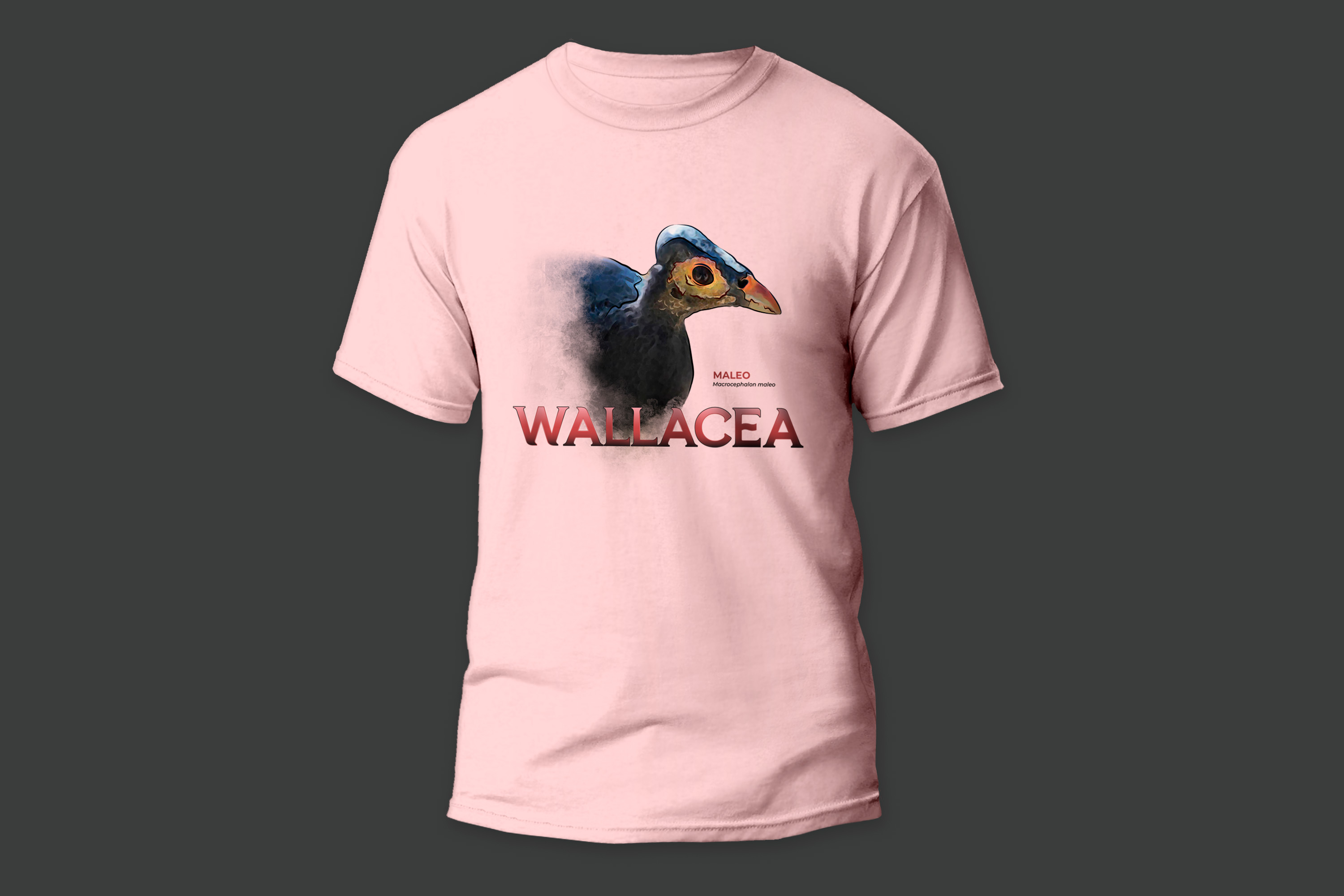 Kaos Maleo